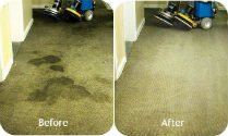 carpet cleaning cape town